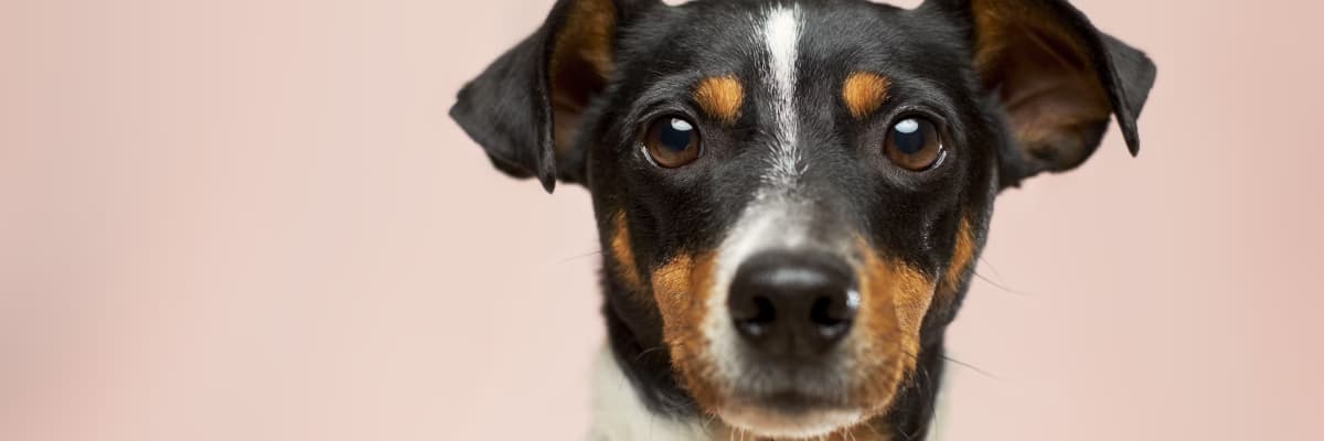 Wypełniaczek profile banner